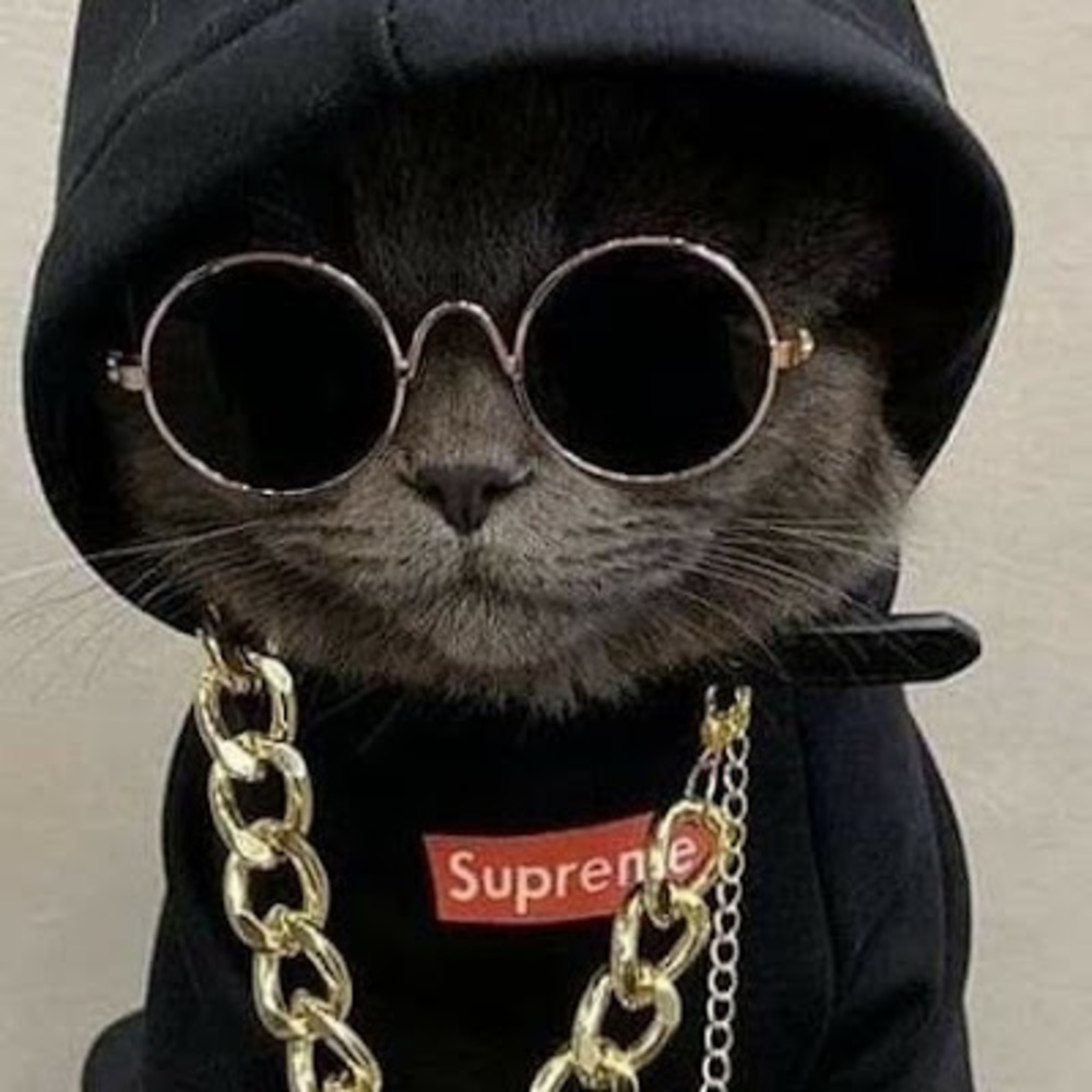 Meet your Posher, Definitelynotswagger